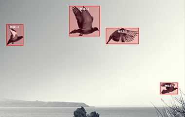 XM登录视频标注